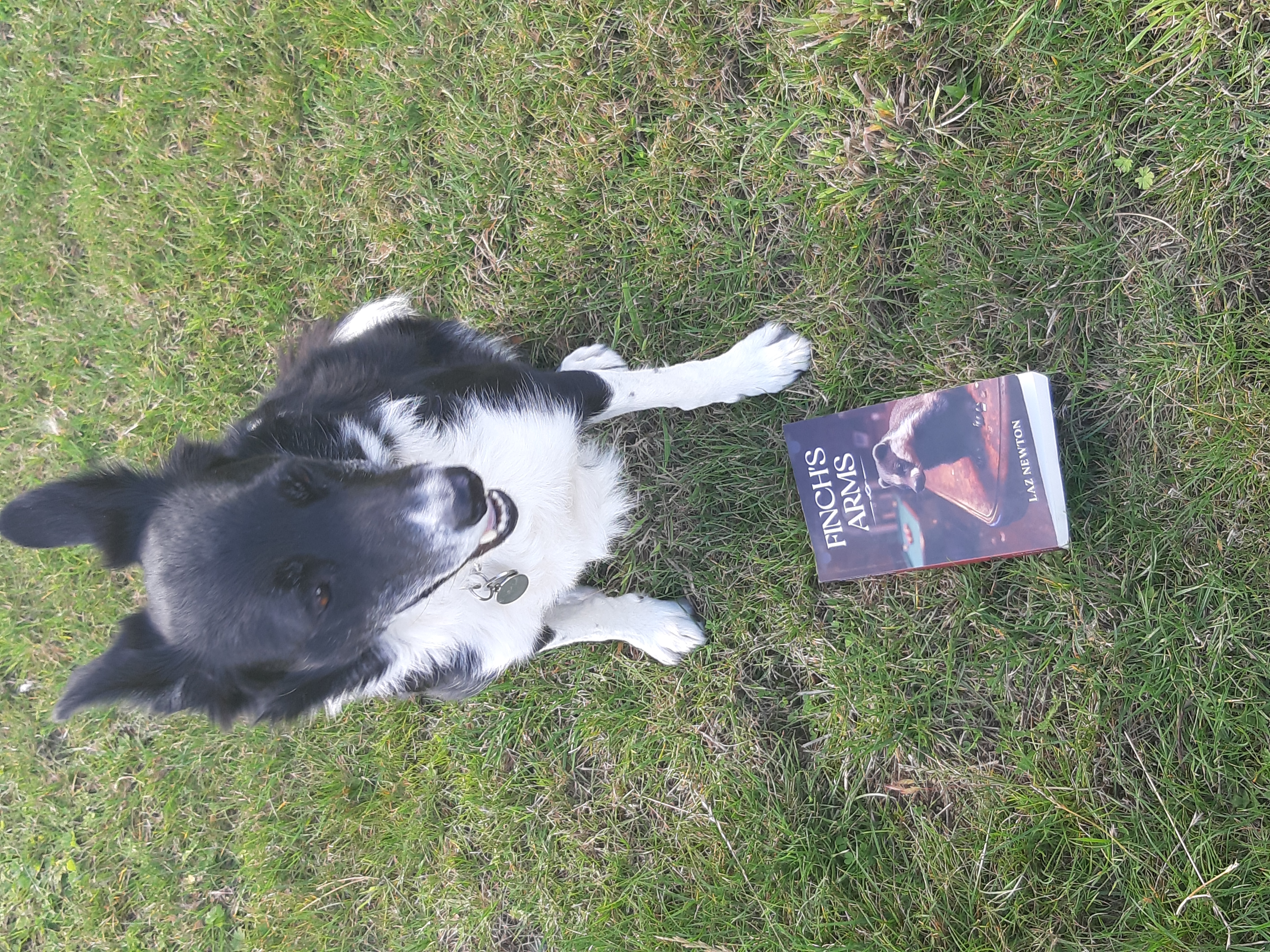 Border collie with Finch's Arms book