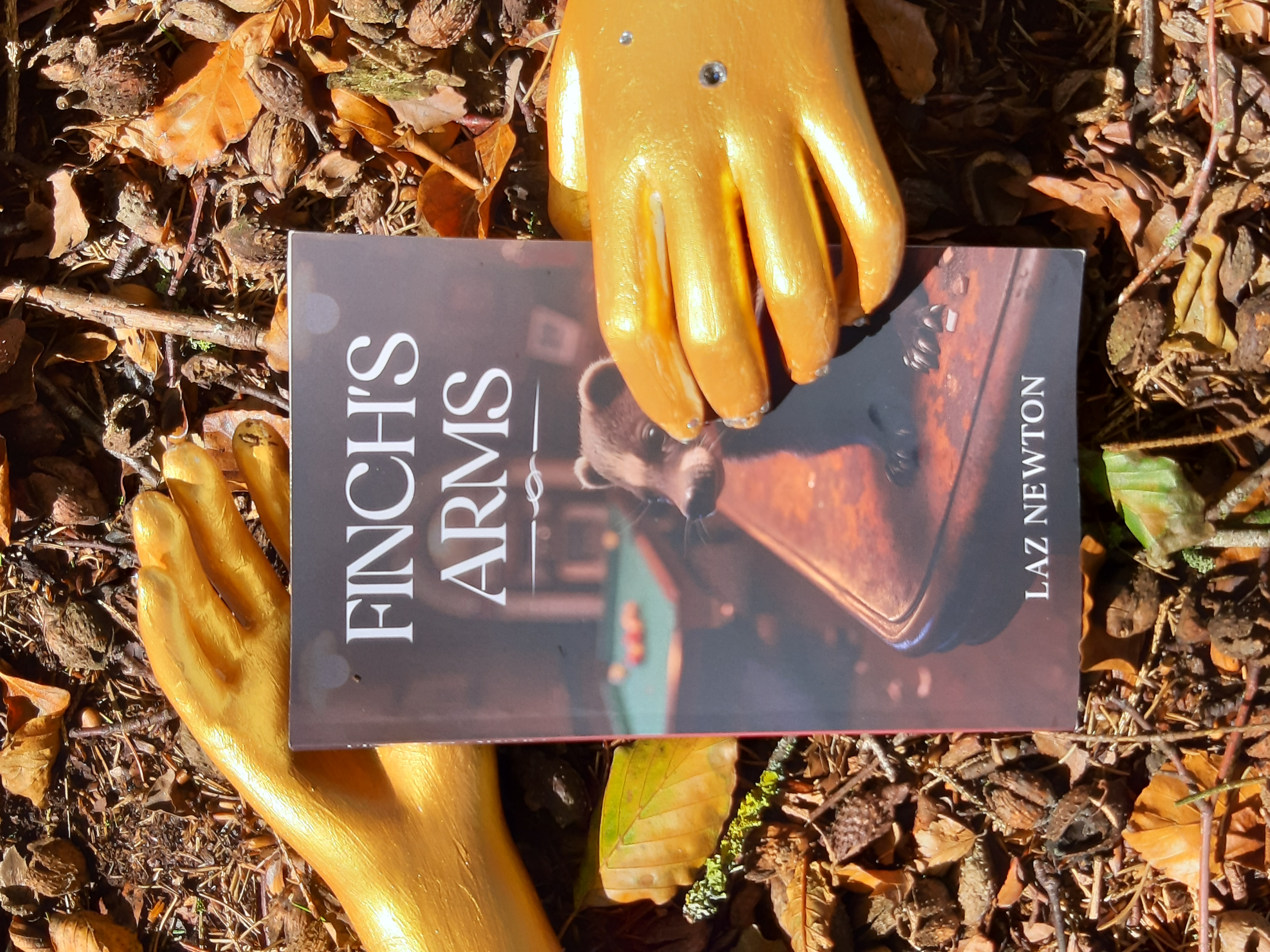 Finch's Arms Book Cover